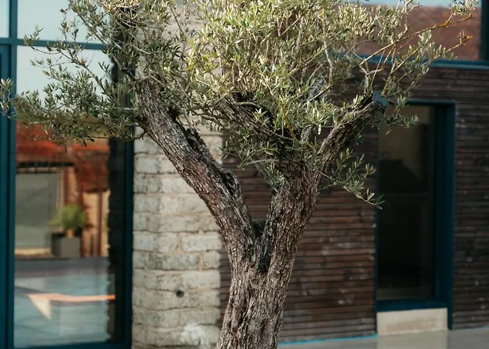 De L Olivier Holiday home