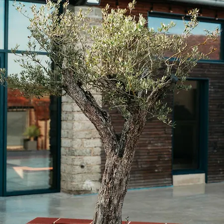 De L Olivier Сasa de vacaciones